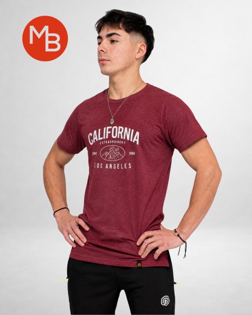 Remera Estampada Manga Corta